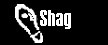 Learn How to Shag